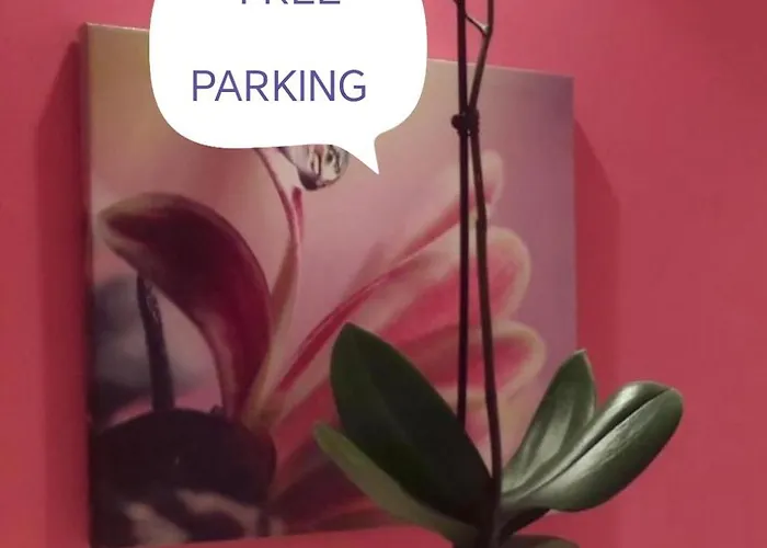 Ars Apartment
