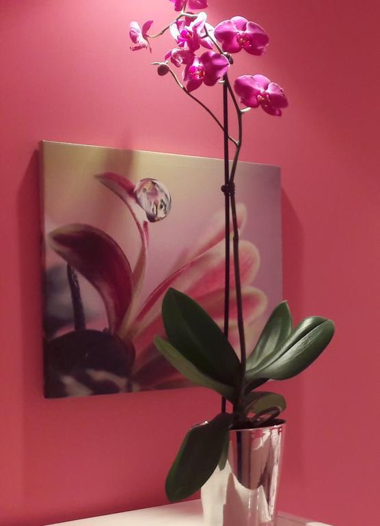 Apartment Ars Novi Sad