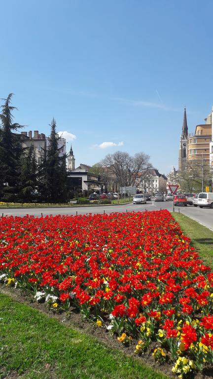 Ars Novi Sad